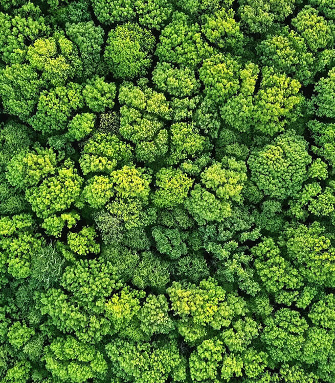 COMMITMENT <br>TOWARDS <br><span class="people-text">ENVIRONMENT</span>