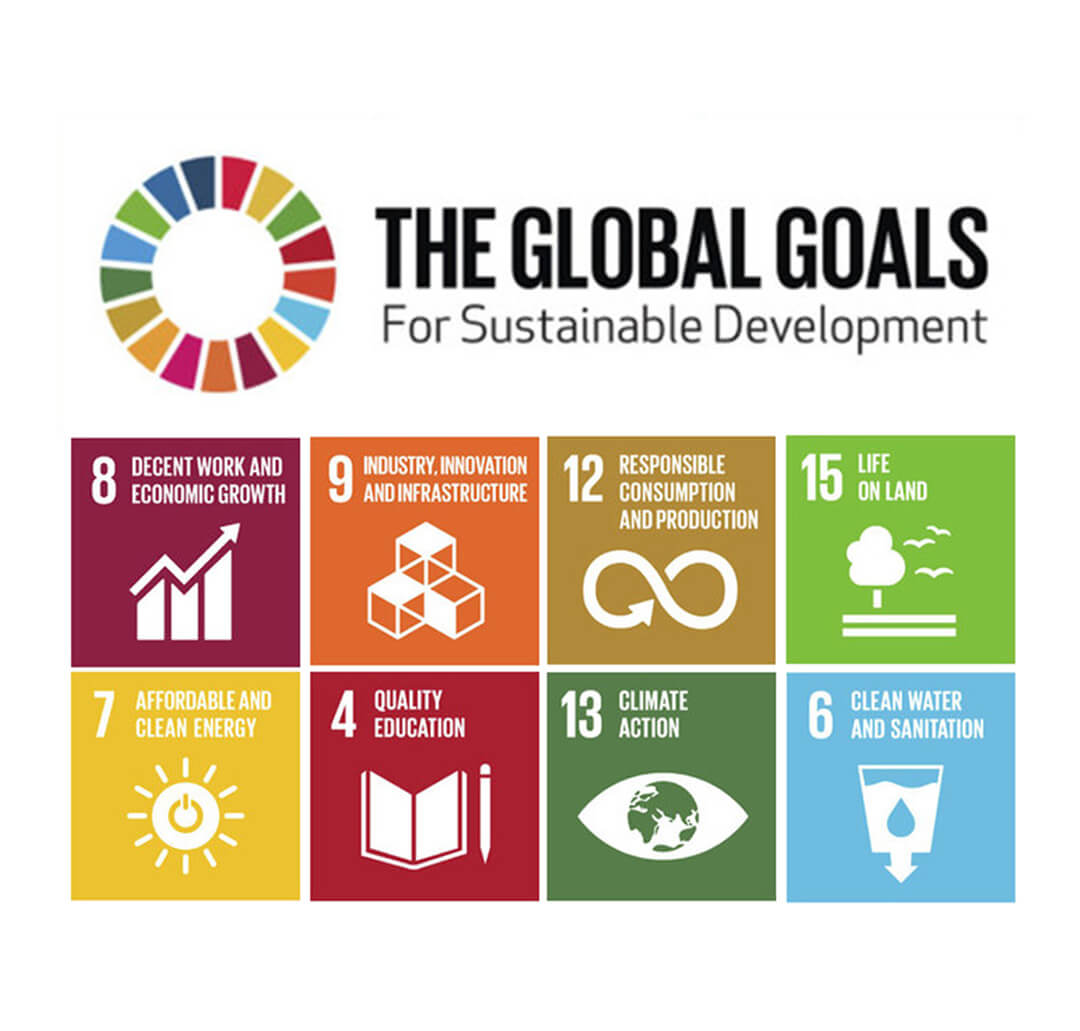 The-Global-Goal