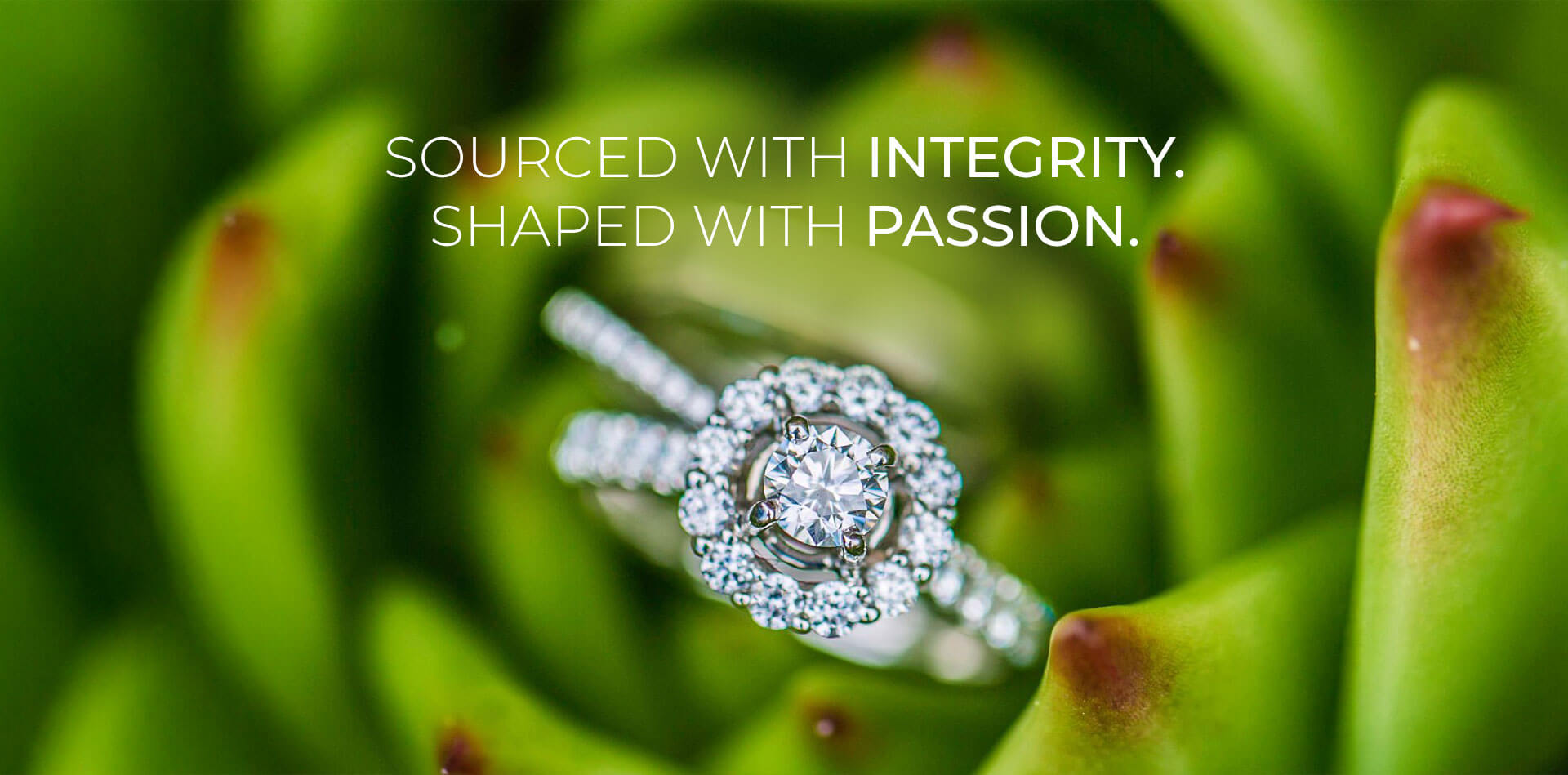 Shaping a Greener Future / Sustainable Luxury, Lasting Impact